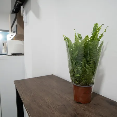 Vukelic 1 Apartman Belgrade